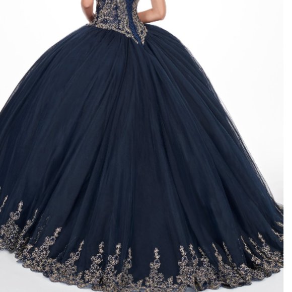 QUINCEANERA DRESS (PLUS DOLL, BOUQUET,  PHOTO ALBUM, HAIR PIN) - Picture 2 of 13